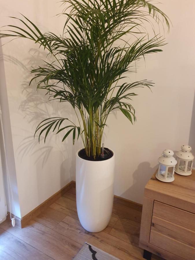 Apartament Number One Nova Wozownia Leszno  Bagian luar foto
